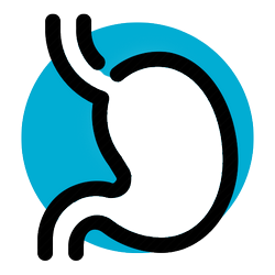 Digestive system and metabolism